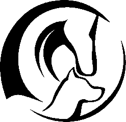 Mobile Pferdepraxis Lisa Brehm